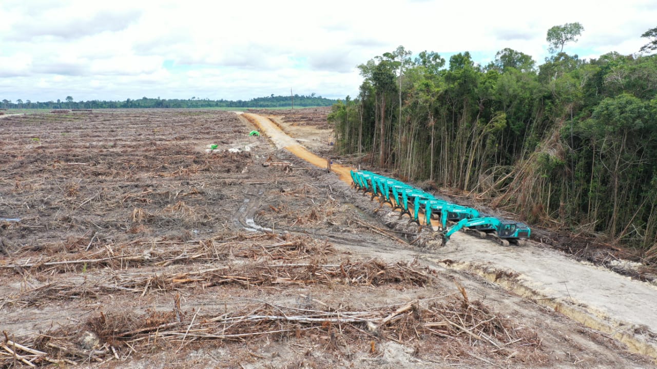 Melindungi hutan adat, 3 warga Simpang Hulu dikriminalisasi